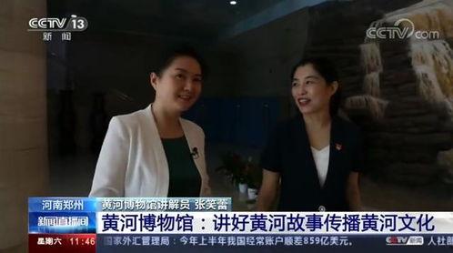 央视爆料河南新闻事件,央视揭露的背后真相  第1张